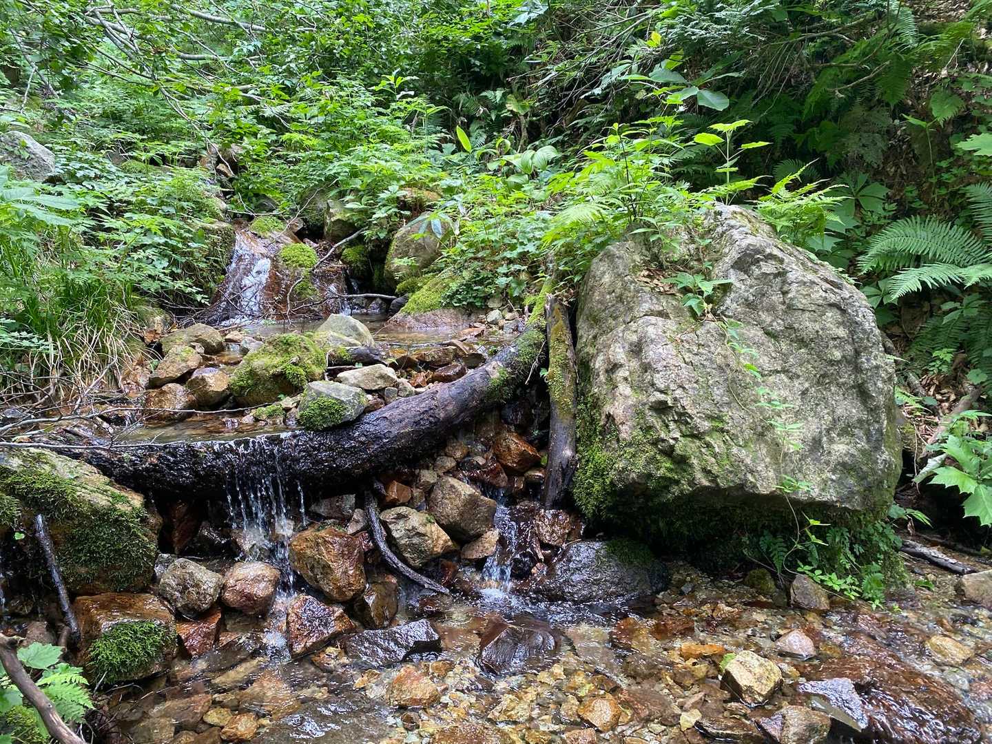 山から流れてくる渡渉の水が冷たくて気持ちいい👍