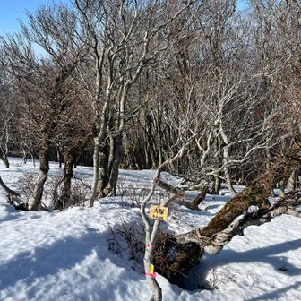 ピークハント！