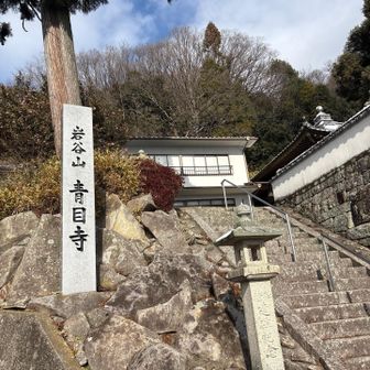 青目寺まで帰ってきました