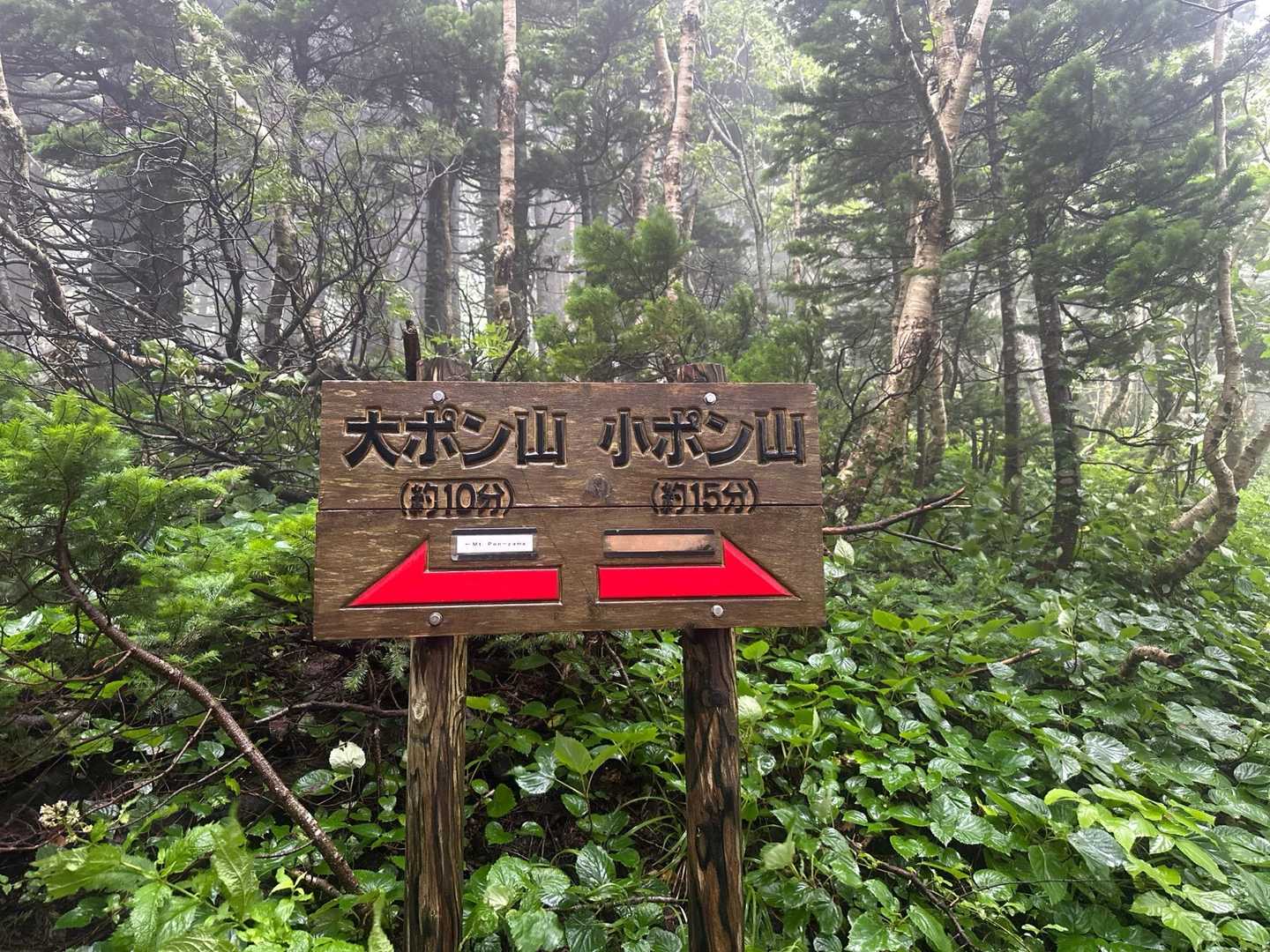 小ポン山との分岐。