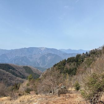 何気に登山道入口付近の風景が1番良い👍