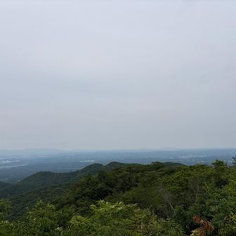 明石海峡大橋は霞の中💭