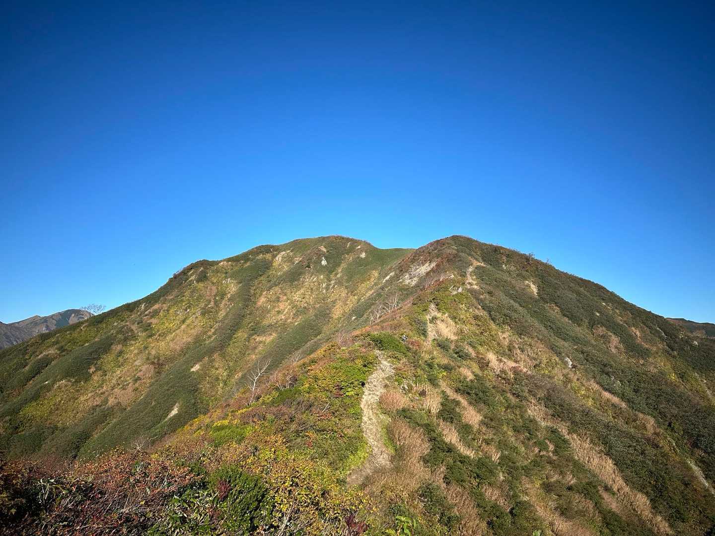 御沢登山口-横峰 縦走コースの写真