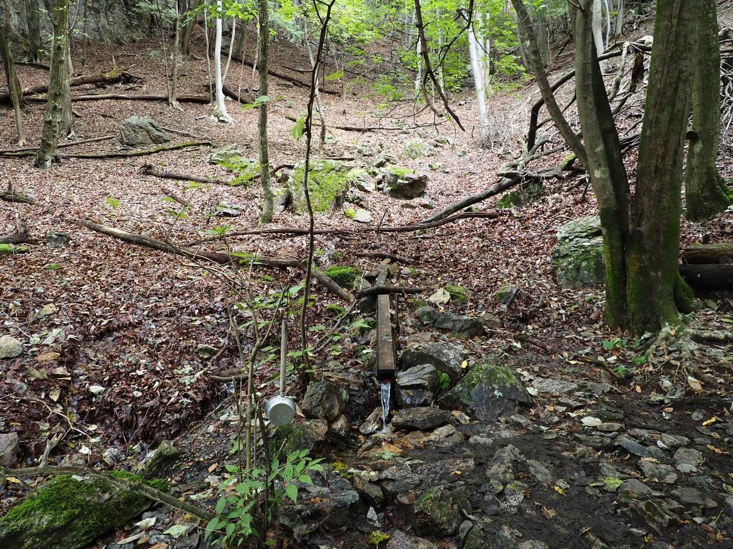 水場💧
水量💯
美味しかった😊
