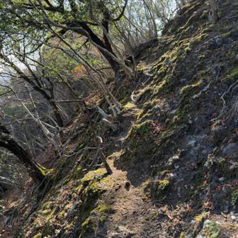 
　滑っていきそうだが

　ギリ耐えられる斜度、
