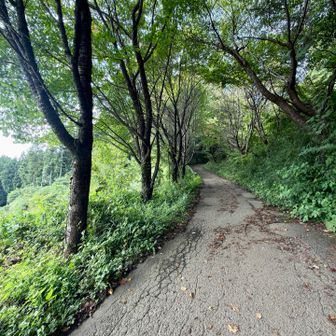 小仏城山のおトイレ横の道沿いに出るのね～🤔