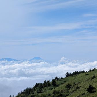 北峰からも富士山が見えた🗻
