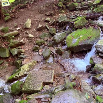 沢を渡って登ります。