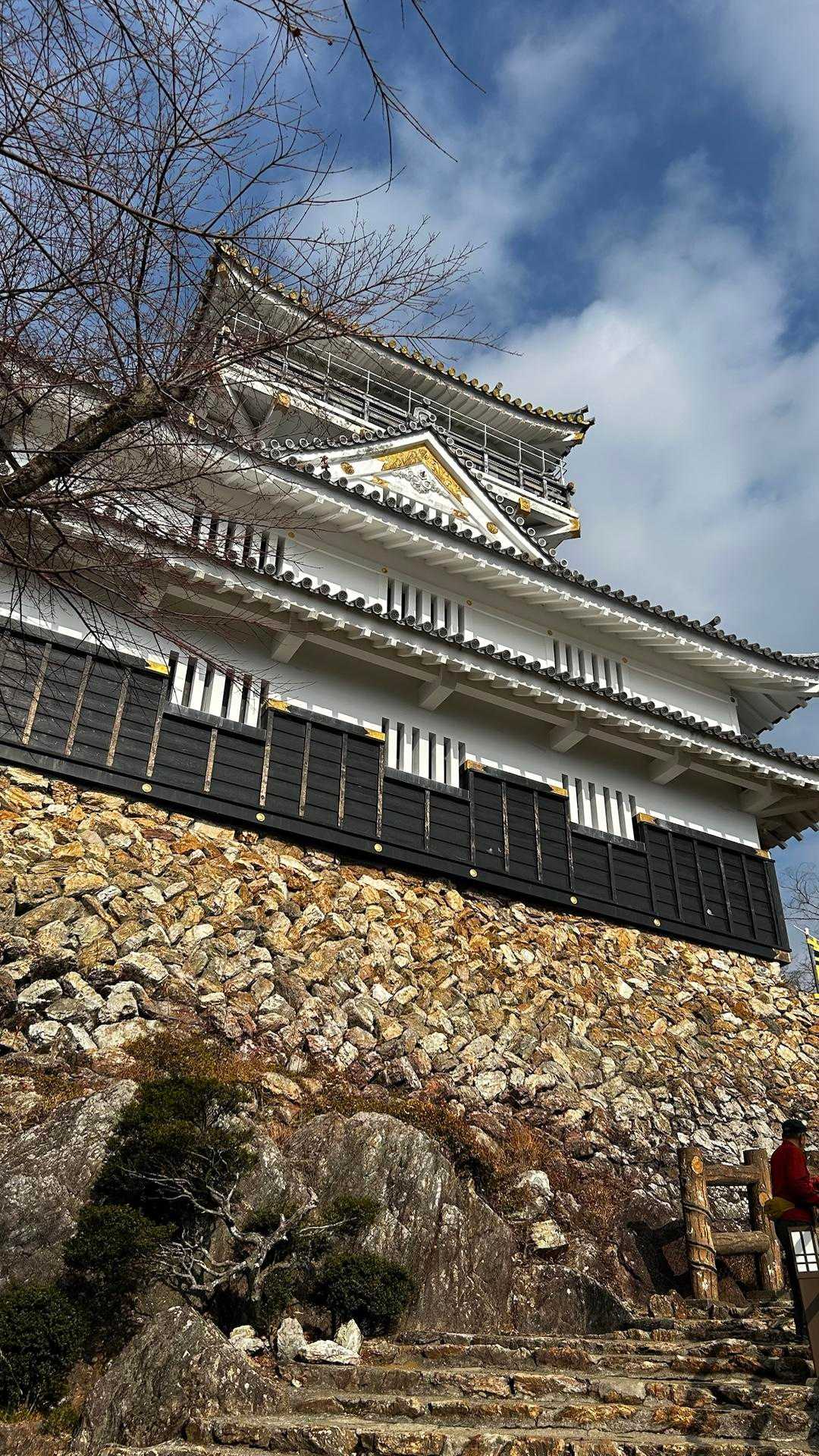 岐阜城🏯