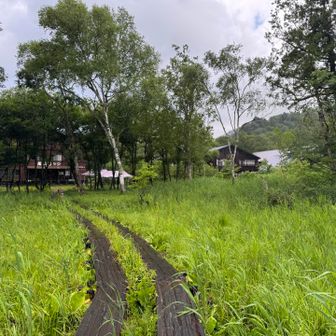 山の鼻地区に到着。ここで尾瀬ヶ原も終わりです。