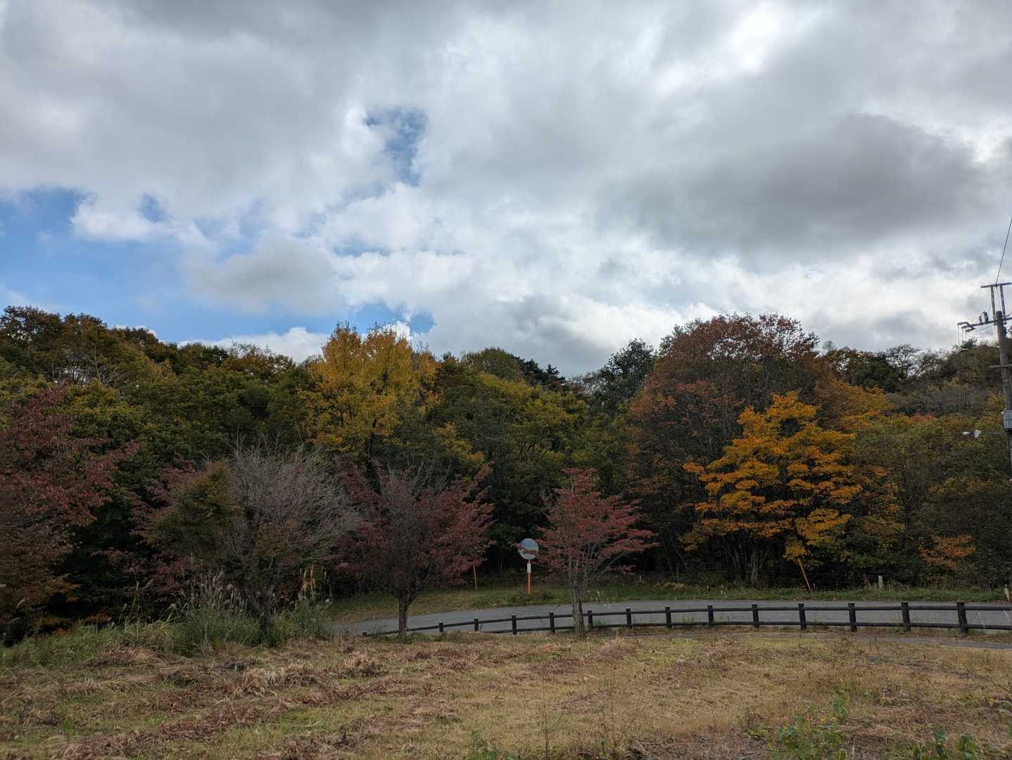紅葉🍁