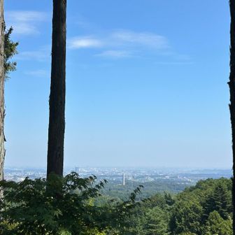 良い景色