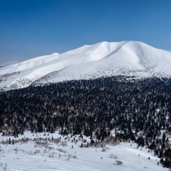 見ればわかる
想像を絶する大きな山陽であることを