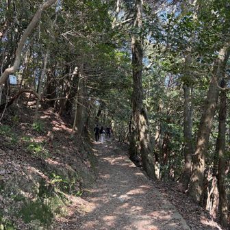 行きは山道コースで