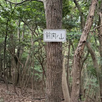 前関の山
展望はありません