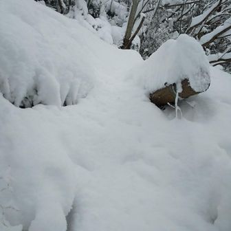 ようやく本道へ