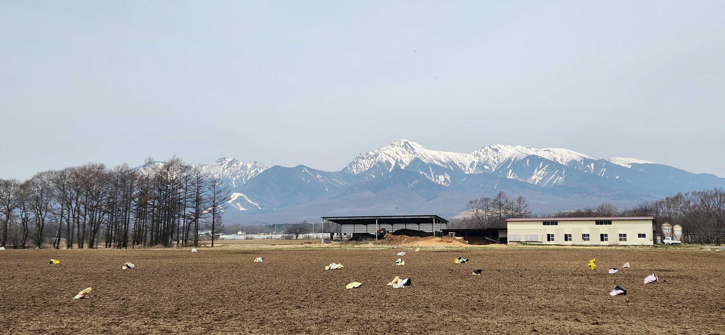 野辺山駅-獅子岩飯盛山登山口-平沢山-清里駅 縦走コースの写真