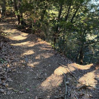 右側から登ってきました