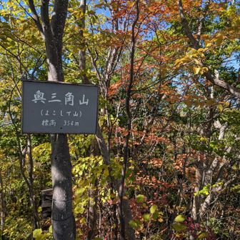 とぉーちゃーく🙌

山頂周辺は だいぶ色付いてきています🍁