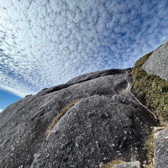 思ってた以上に急…