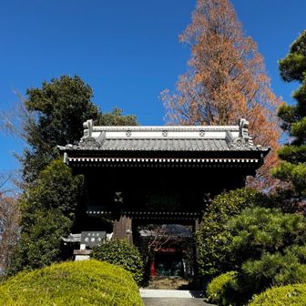 神社やお寺はたくさん。
神社仏閣巡りみたいになります。