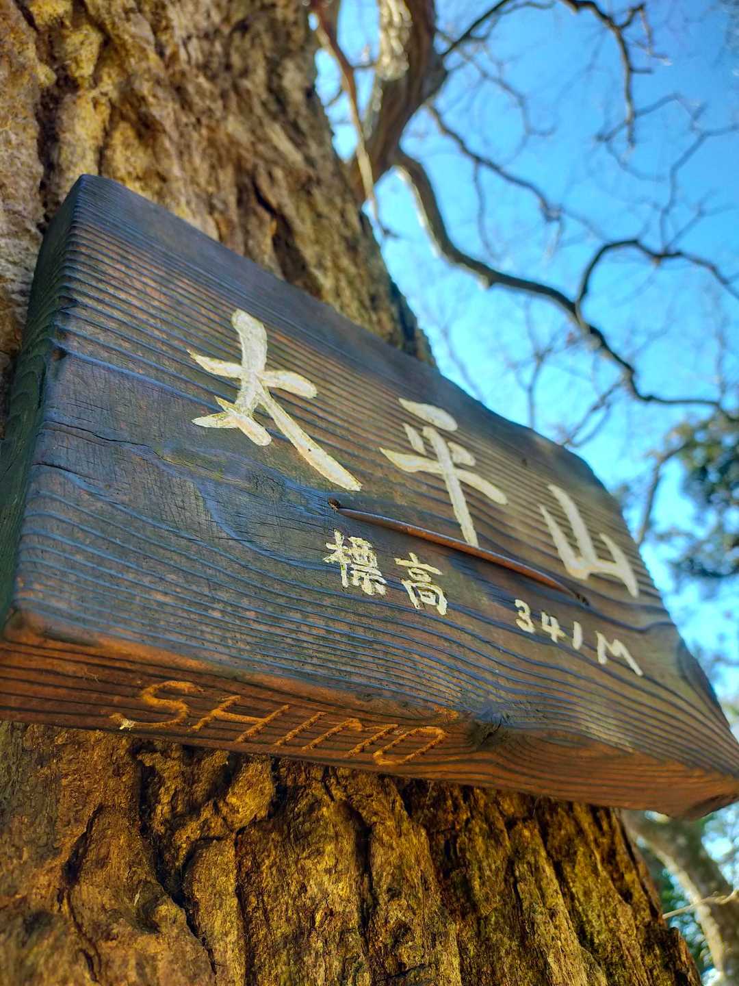 大中寺-太平山-ぐみの木峠 周回コースの写真
