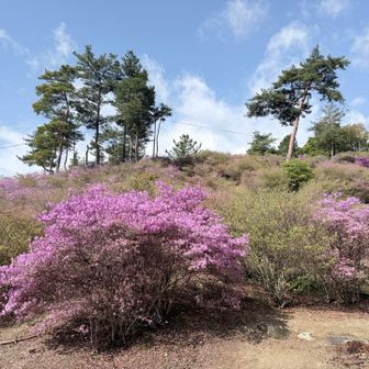 アイスの喜び　それはある