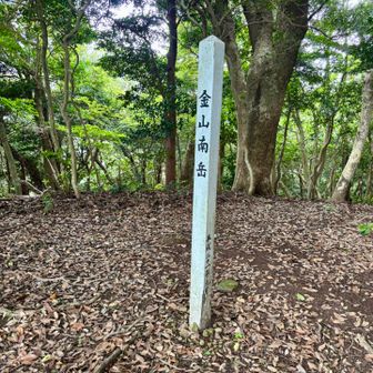 金山南岳到着！
少し眺望あるよ
温度計があり、21℃だった
風もあるのでそこまで暑くないわ
ここは虫も少ないので快適👍