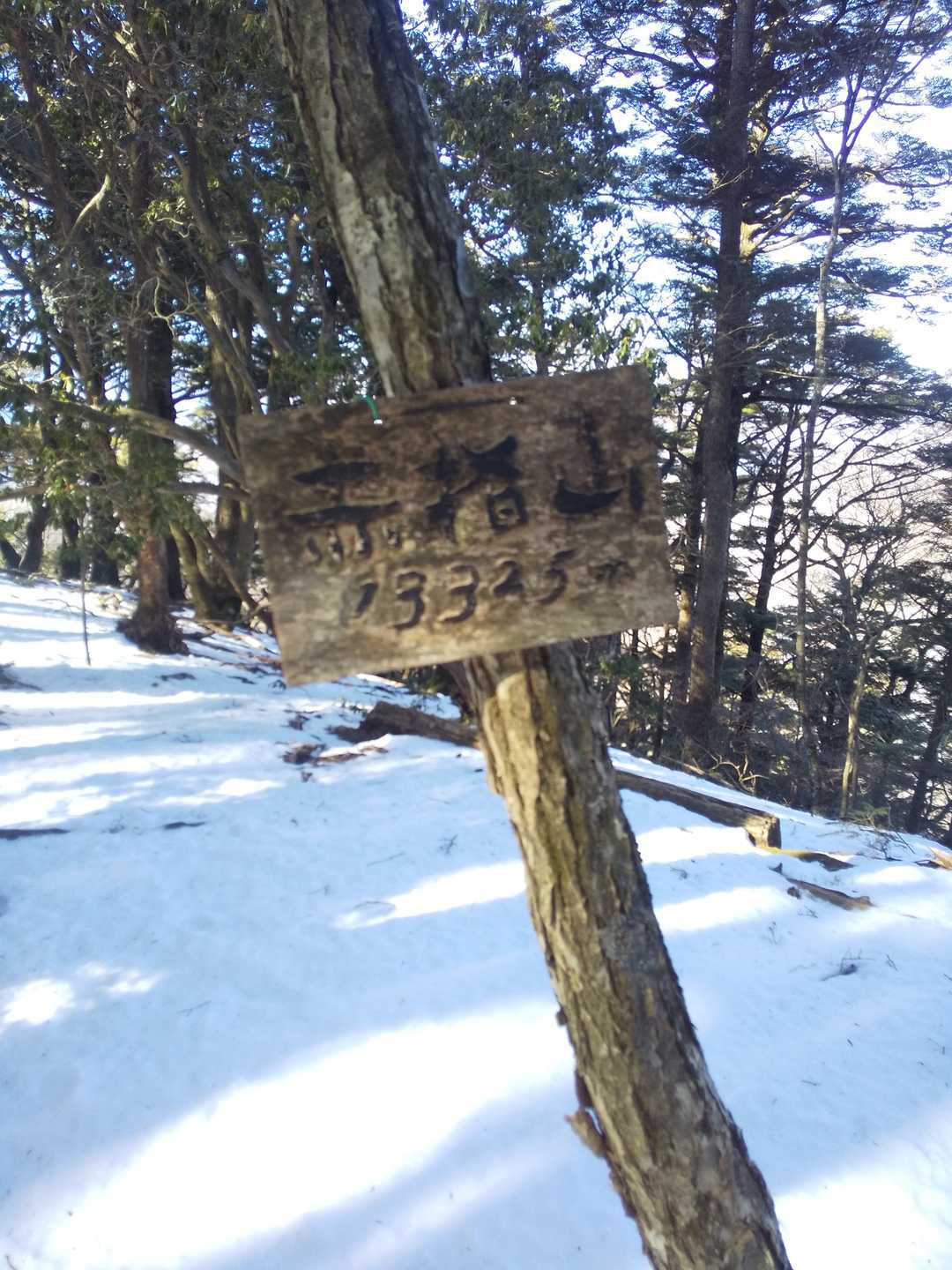 赤指山山頂標識