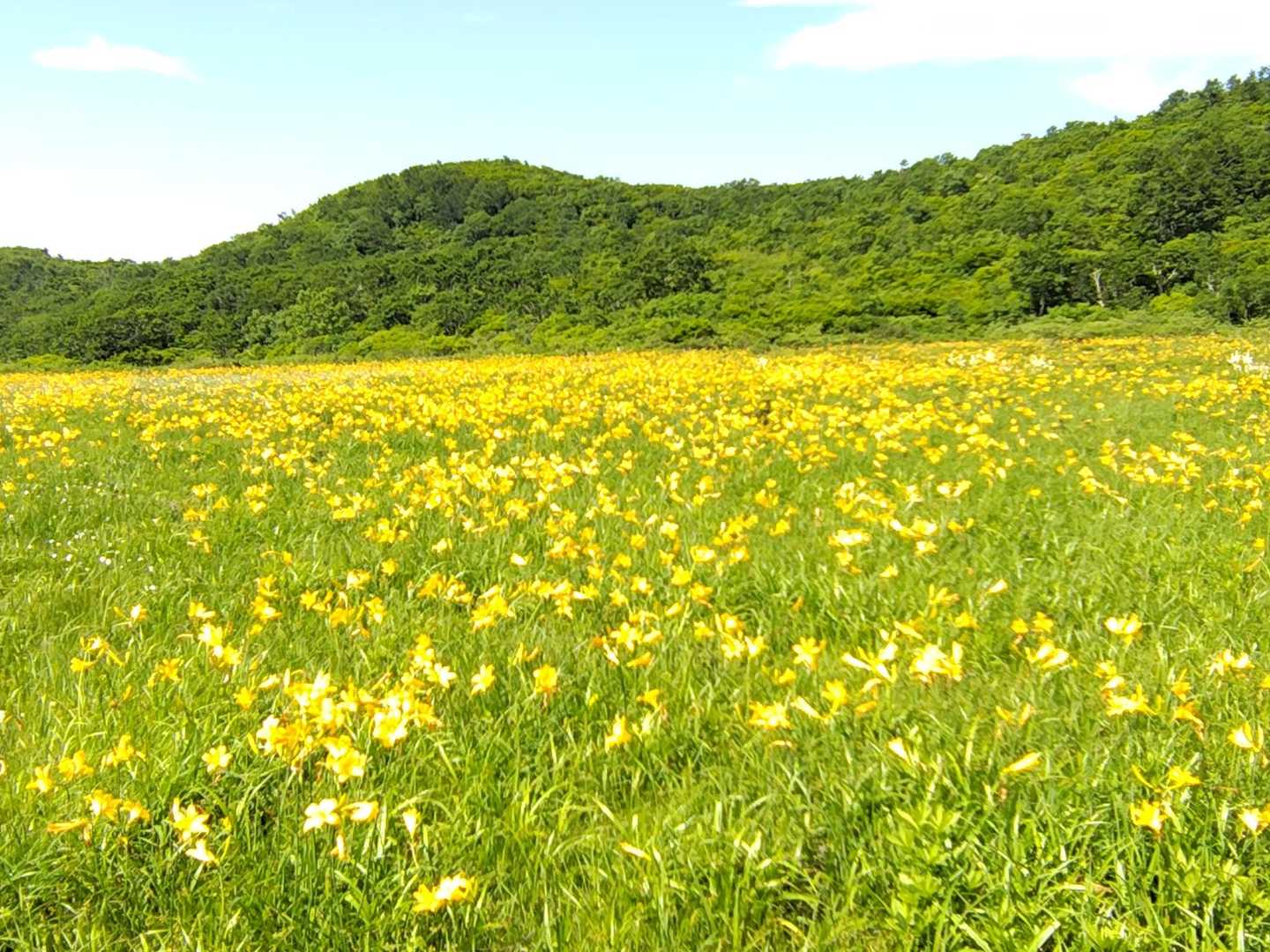 雄子沢登山口-雄国山 縦走コースの写真