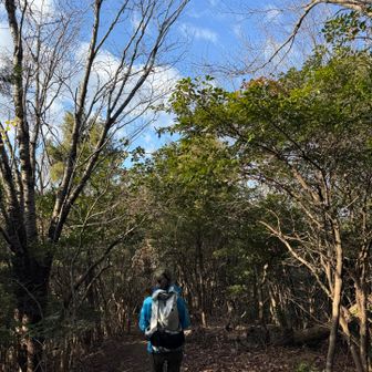 目指すピークはまだ先でした💦