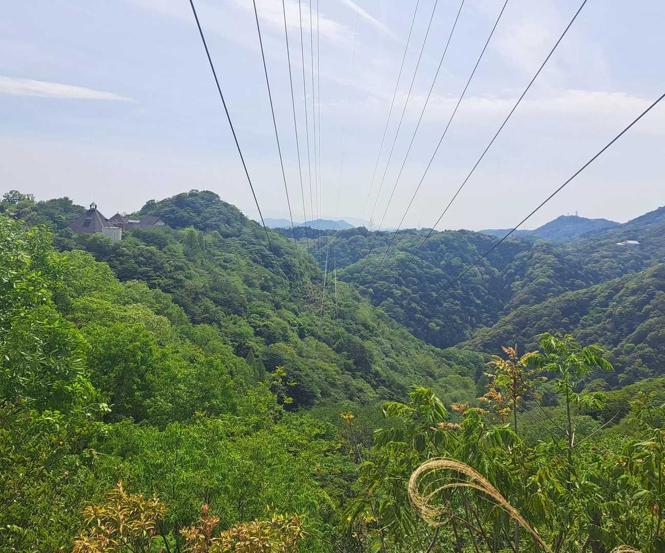 右に小さく😁大龍寺
左にハーブ園がみえるところ