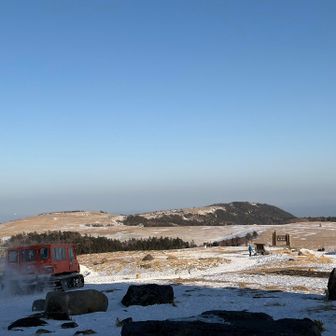 ホテル発で往復してるそうです