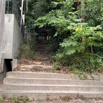 登山口