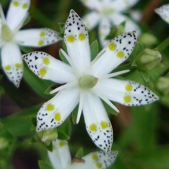 じゅんじゅん♪