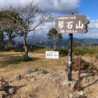 開けた頂上広場です