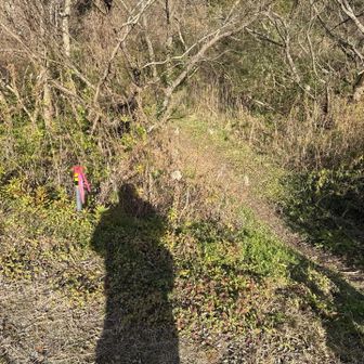 さーラストのピークを取りに行く。