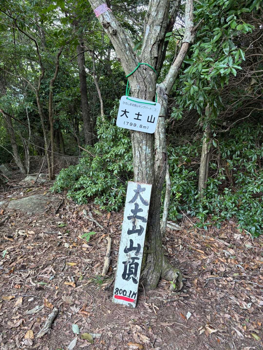 登頂！👏　2時間くらいかかりました