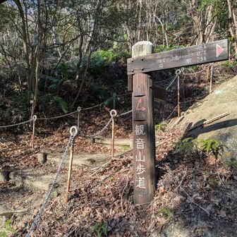 ここに降りて来ました😊