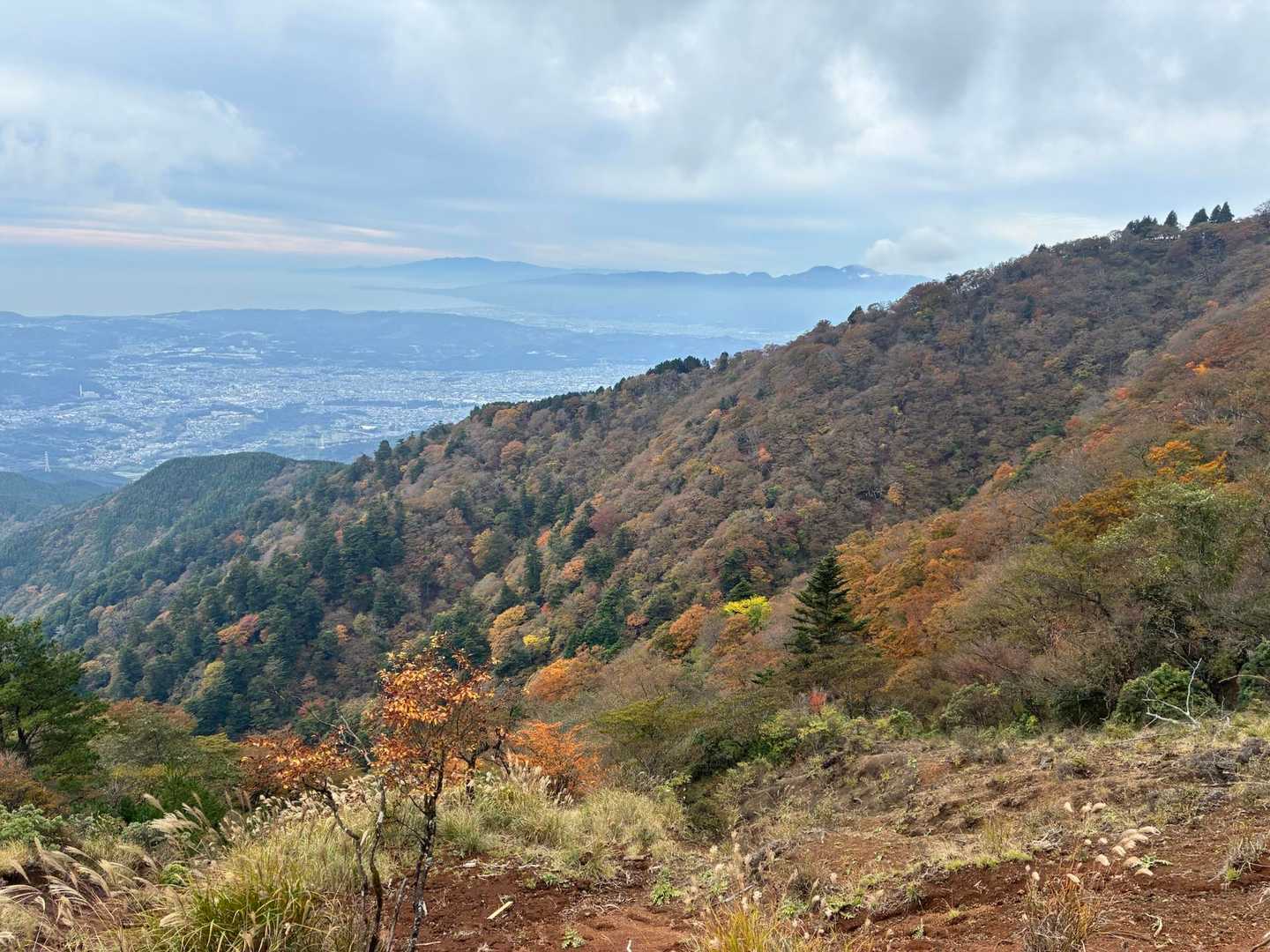 いつの間にこんなに紅葉してた〜