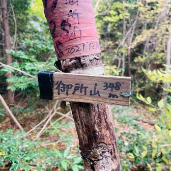 【10座目】御所山登頂🙌
行きも帰りも道無き道の藪漕ぎでピンテも少なくて迷い易いです💦グレーピークかと思った🥺