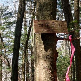 四尾連山。山頂は…コレだけか～