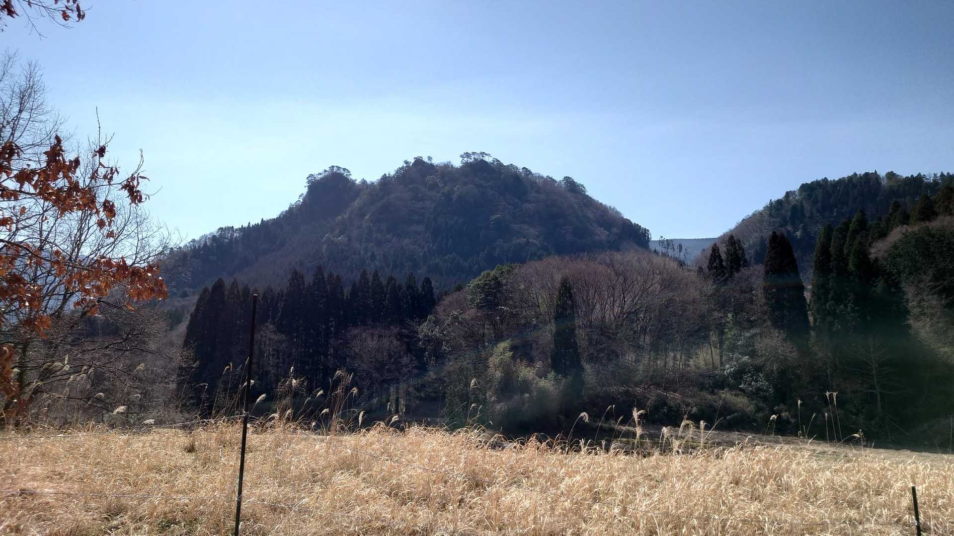 今回のトップ画
冠岳とはよく名付けたもんだと思いました