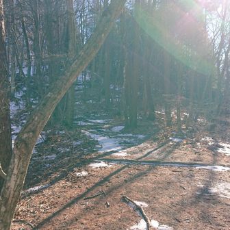 相方と来た道でした😆⤴️
相方とは反対側から
登ってきた道でした◎

繋がった！！