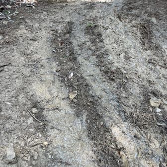 最初は林道。この前の雨で路面がぬかるんでます。でも、舗装路で迂回しようと思ってたので、助かった。
師匠の今熊山到着予定は13時。あと２時間ある。ゆっくりでも問題ないけど、今日はトレーニング。全力で。