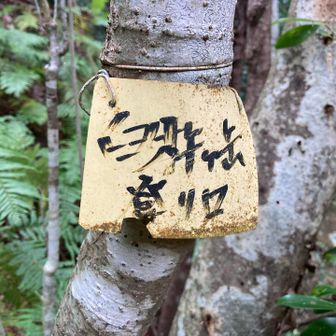 登山口まで戻ってきた