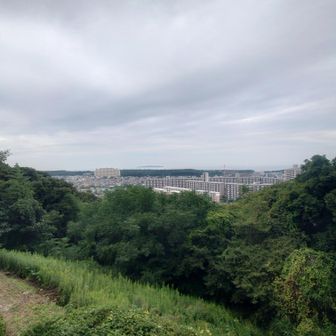 展望台からの景色☝️✨