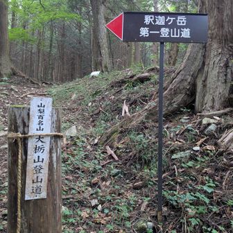 山梨百名山No.58
大栃山(1,415m)登山道口