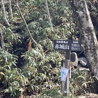 ここから⤴️行きます