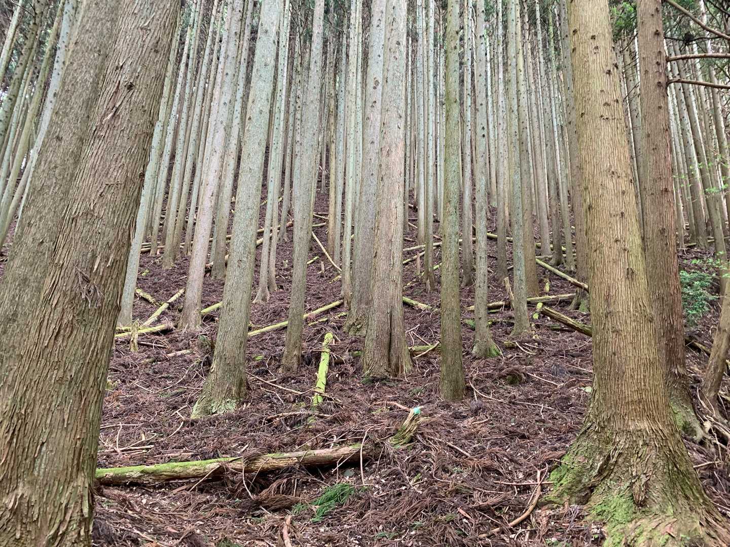 こんなところ進みます